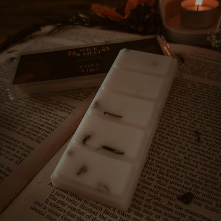 Cosy Vibe Wax Melts