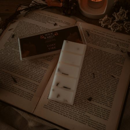Cosy Vibe Wax Melts