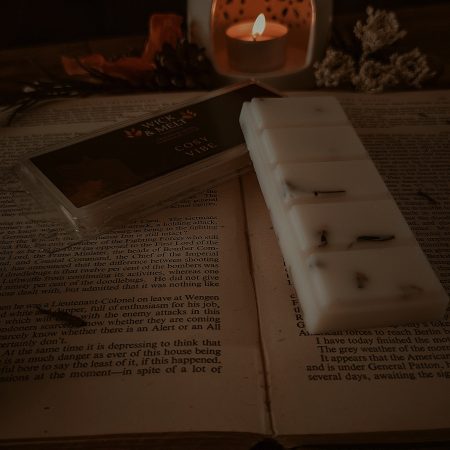 Cosy Vibe Wax Melts