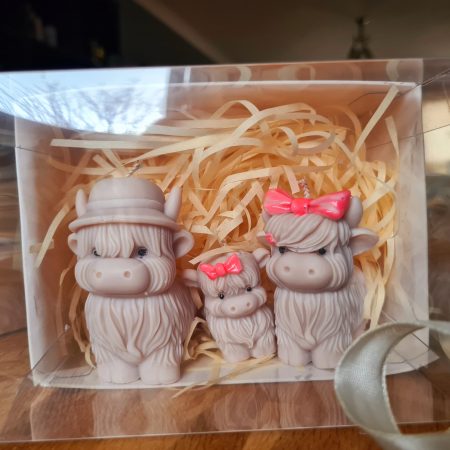 Highland cow candle gift box - Family home decor