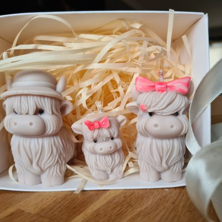 Highland cow candle gift box - Family home decor