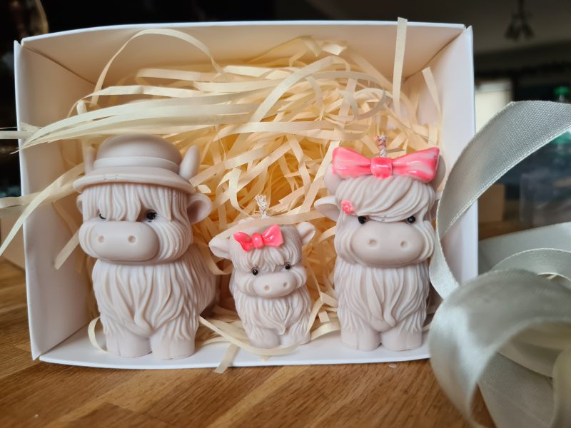Highland cow candle gift box - Family home decor