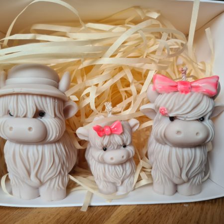 Highland cow candle gift box - Family home decor