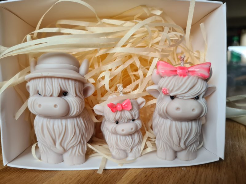 Highland cow candle gift box - Family home decor