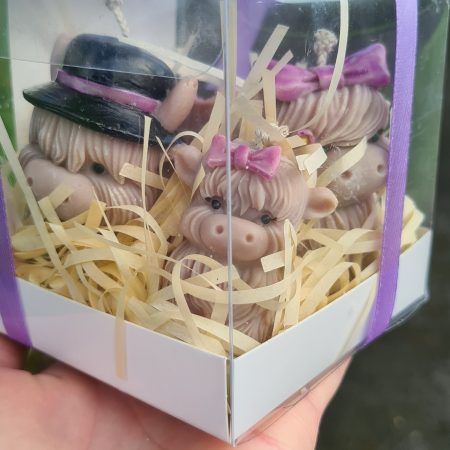Highland cow candle gift box - Family home decor