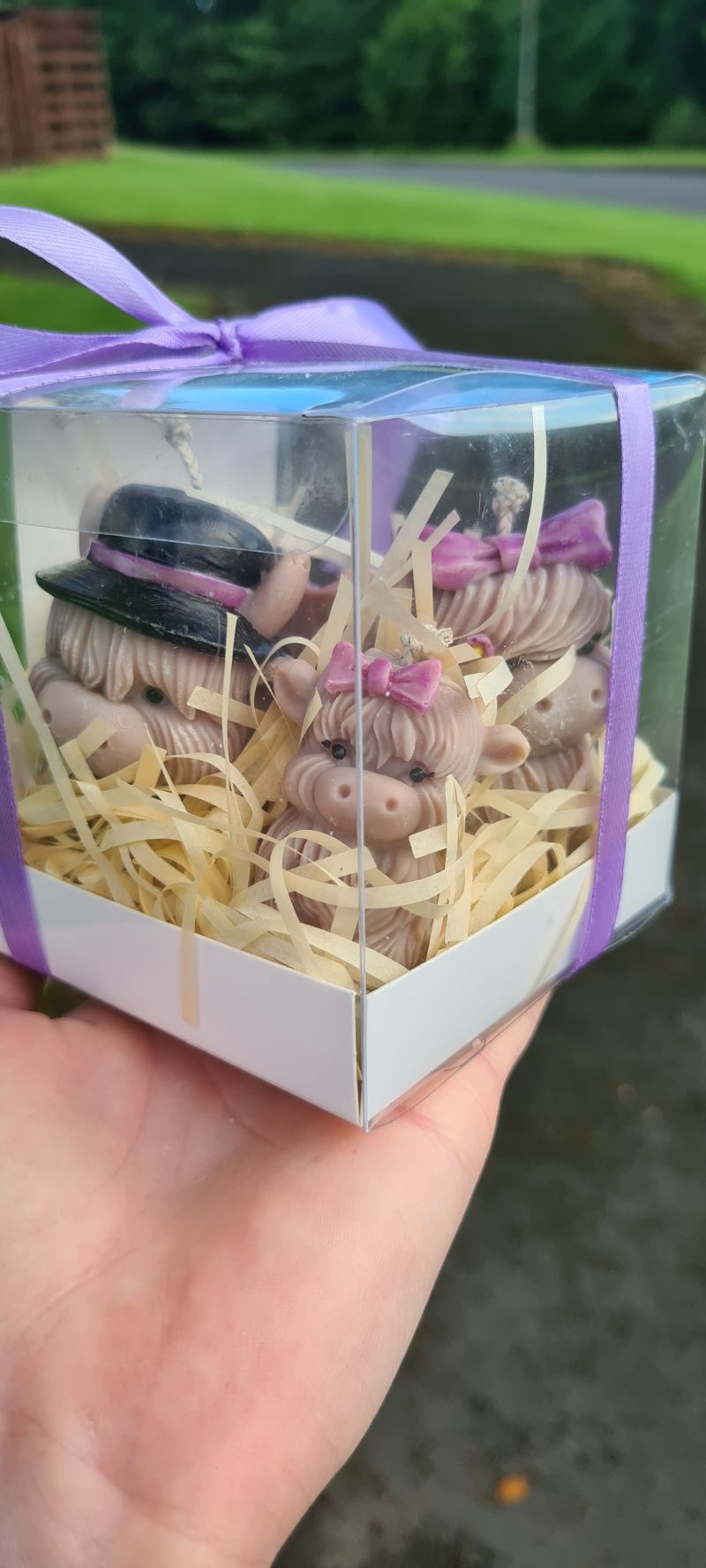 Highland cow candle gift box - Family home decor