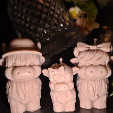 Highland cow candle gift box - Family home decor