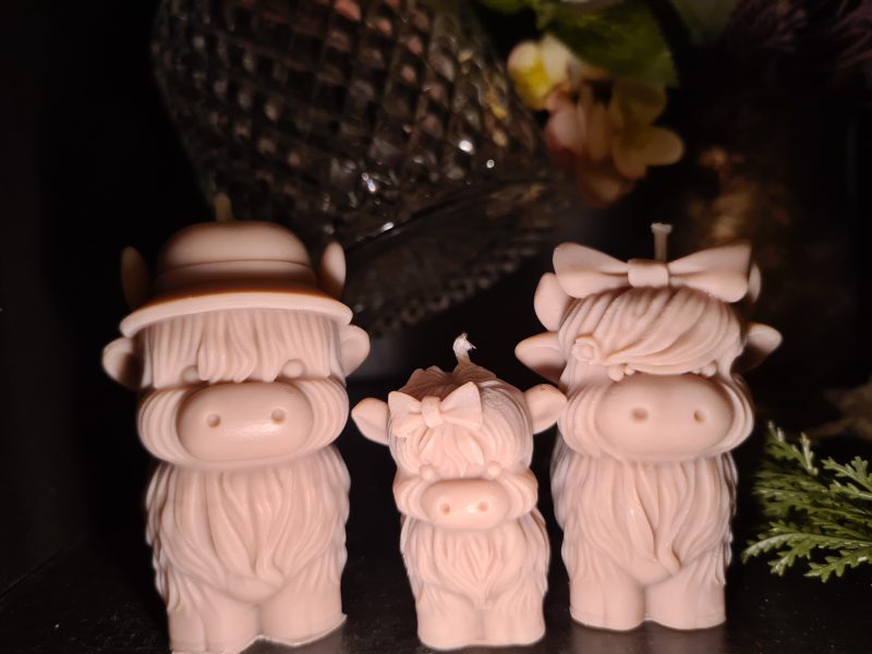 Highland cow candle gift box - Family home decor