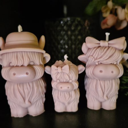 Highland cow candle gift box - Family home decor