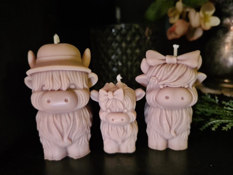 Highland cow candle gift box - Family home decor