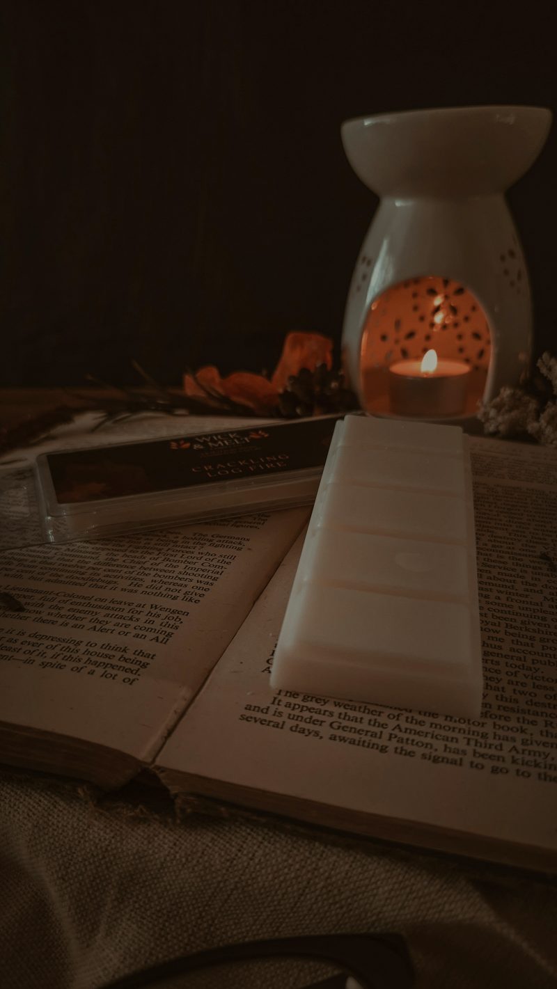 Crackling Log Fire Wax Melts