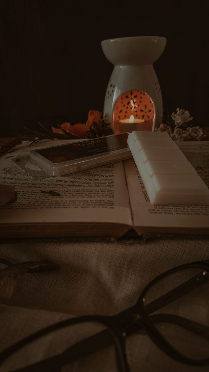 Crackling Log Fire Wax Melts