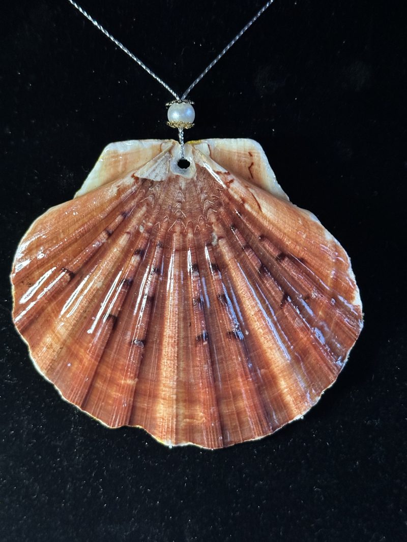 Christmas ornament hanging shell
