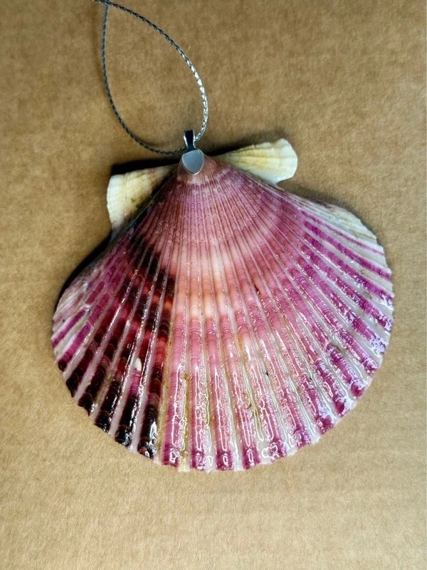 Christmas ornament shell