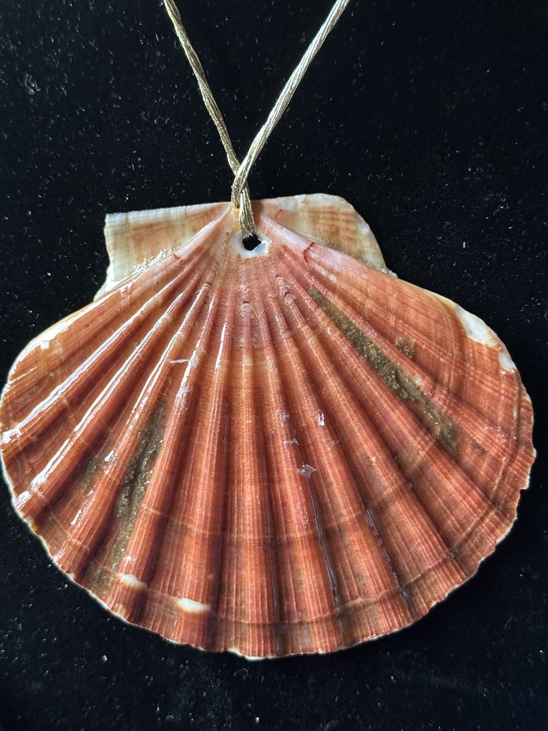 Christmas ornament shell