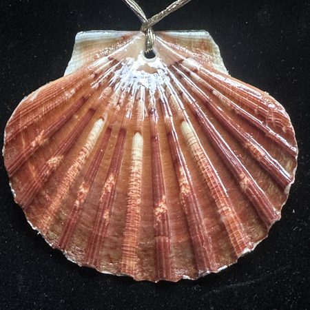 Shell Christmas ornament with decoupage and resin