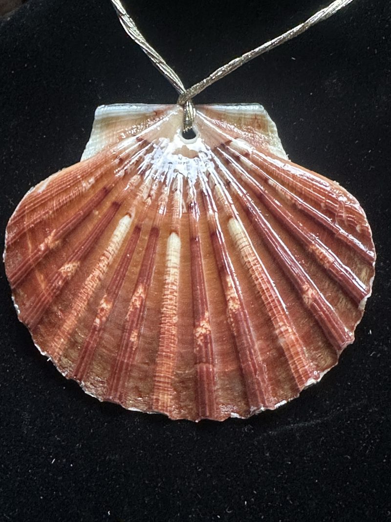 Shell Christmas ornament with decoupage and resin