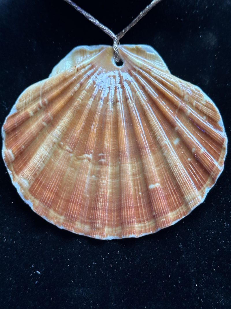 Shell Christmas ornament