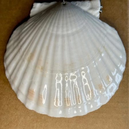 Christmas ornament shell