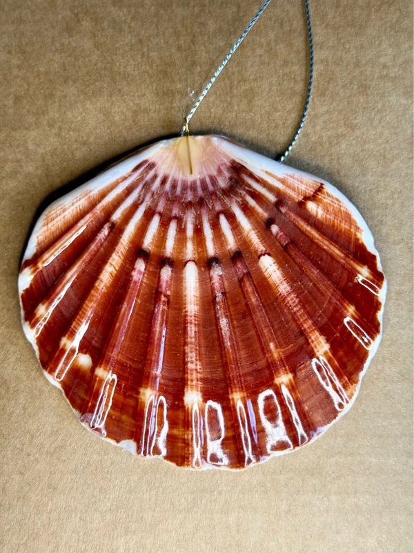 Christmas ornament shell with hanging loop