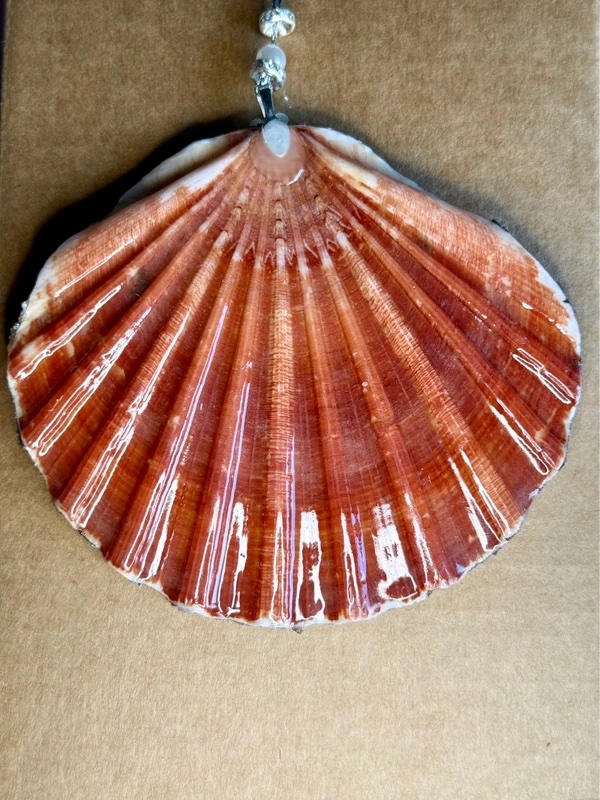 Christmas ornament shell with hanging loop