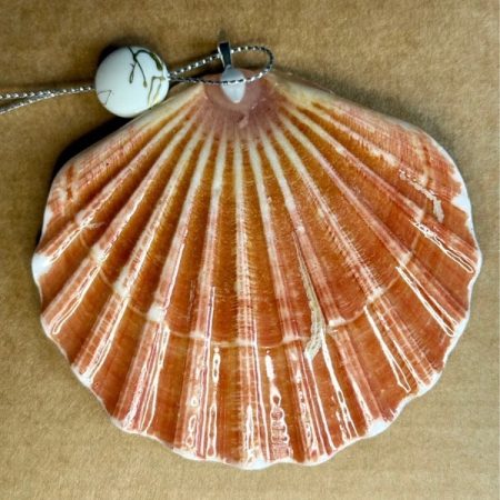 Shell Christmas ornament, decoupage and resin