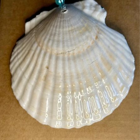 Christmas ornament shell with decoupage and resin