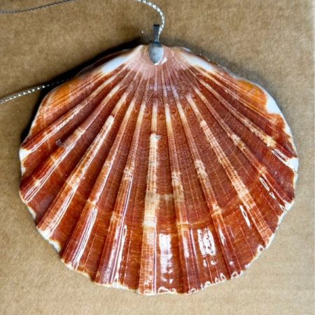 Christmas ornament shell decoupage resin