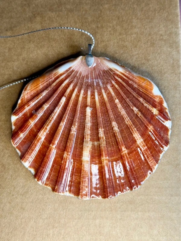 Christmas ornament shell decoupage resin