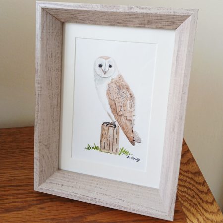 Barn Owl Original Framed Watercolour in Light Pine Frame 8x6"