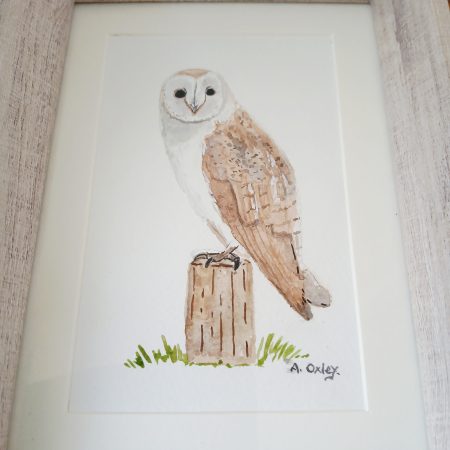 Barn Owl Original Framed Watercolour in Light Pine Frame 8x6"