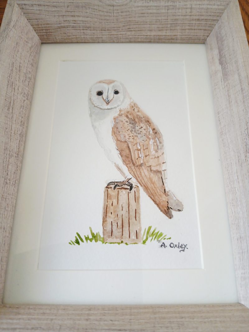 Barn Owl Original Framed Watercolour in Light Pine Frame 8x6"