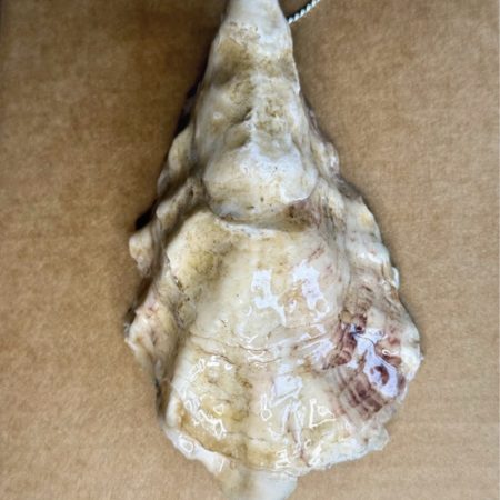 Christmas ornament oyster shell decoupage resin