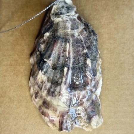 Oyster shell Christmas ornament, multicoloured decoupage