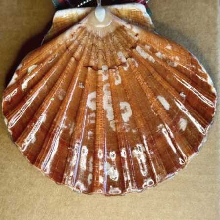 Shell-shaped Christmas ornament, multicoloured decoupage