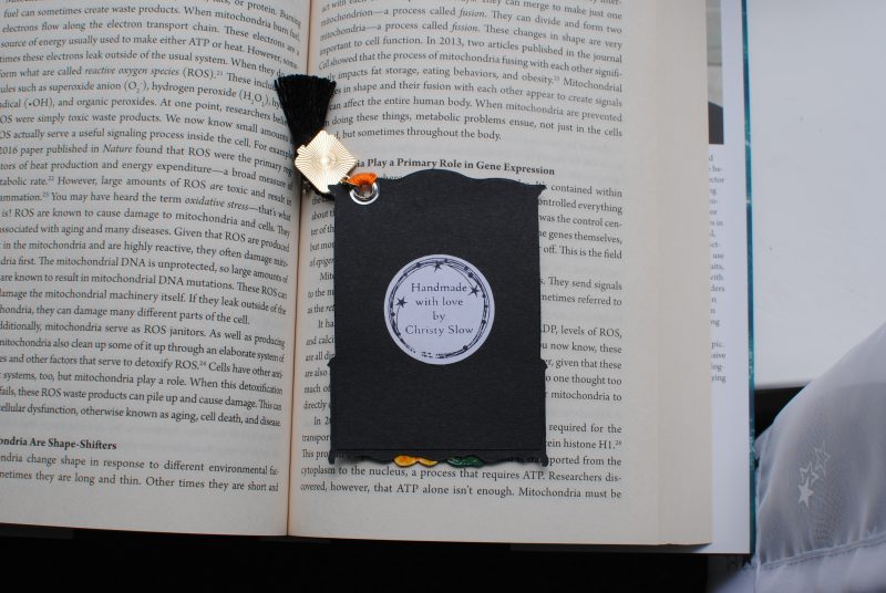 Dark academia Library bookmark Harry Potter Christmas gift handmade Witch book