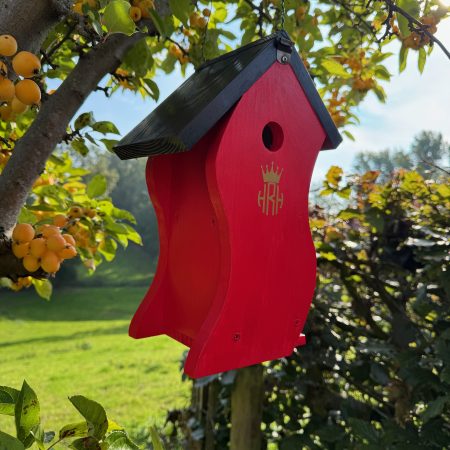 Quirky Wooden Bird Box, Handmade Spruce