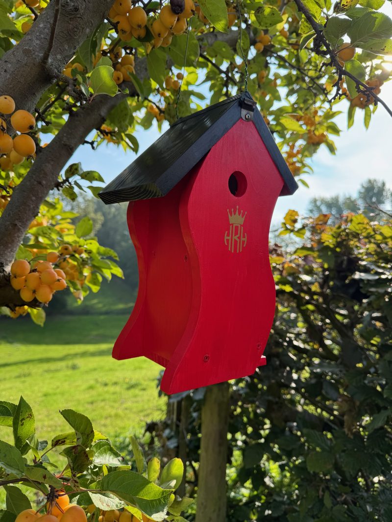Quirky Wooden Bird Box, Handmade Spruce