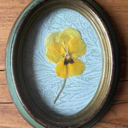 Real Pressed Flower Art in Small Oval Frame - Pansy Flower