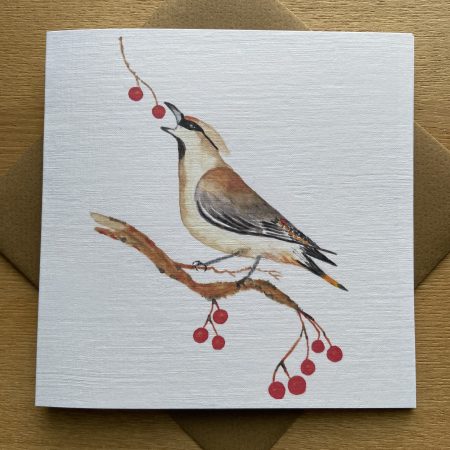 Waxwing Watercolour Christmas Card