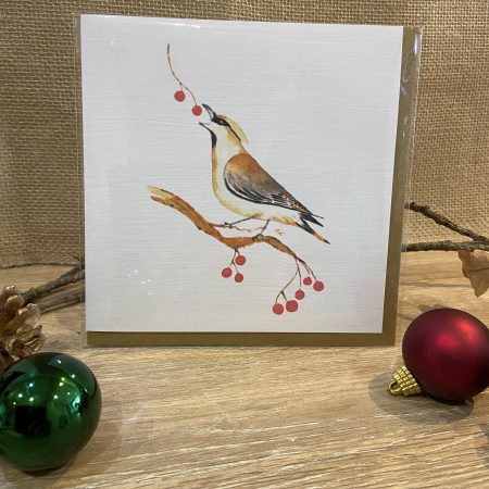 Waxwing Watercolour Christmas Card