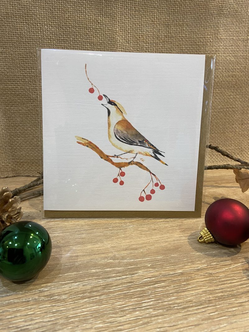 Waxwing Watercolour Christmas Card
