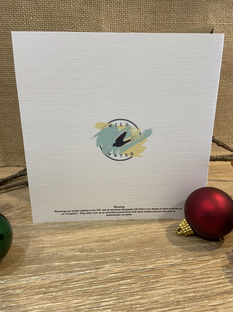 Waxwing Watercolour Christmas Card
