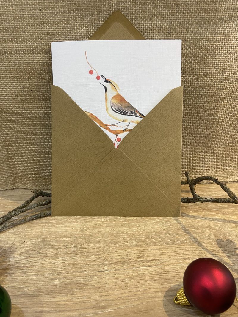 Waxwing Watercolour Christmas Card