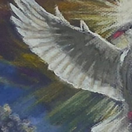 Pastel Dove Picture, Framed 44 x 34cm