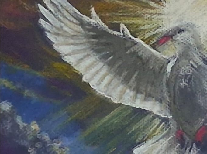 Pastel Dove Picture, Framed 44 x 34cm
