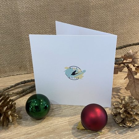 Santa in his sleigh Christmas Card