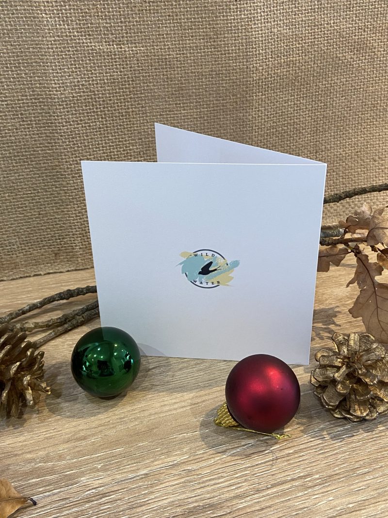 Santa in his sleigh Christmas Card