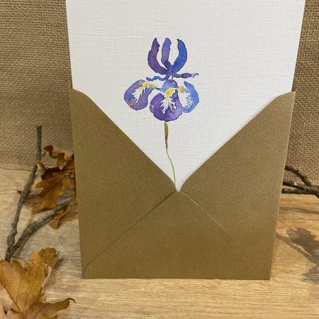 Watercolour Iris and Butterfly