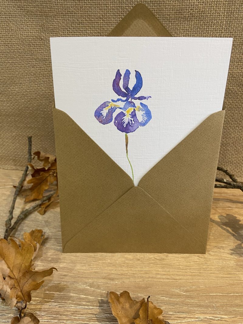 Watercolour Iris and Butterfly